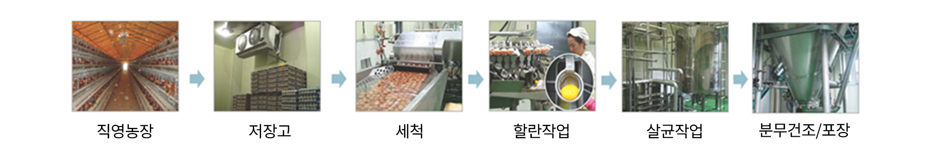 Production Process